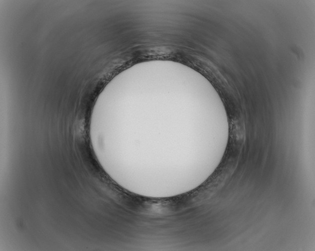 X0000114200564200911061427