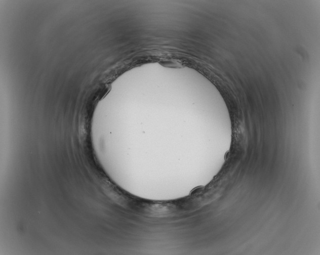 X0000114200566200911061427