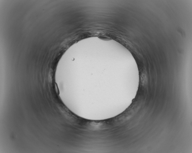 X0000114200570200911061427