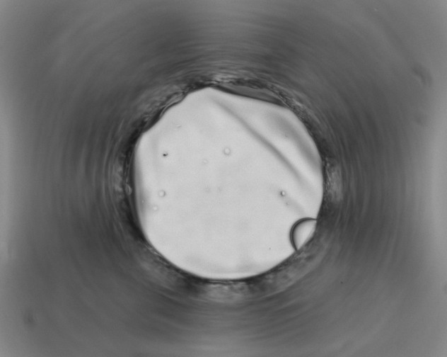 X0000114200571200911061427