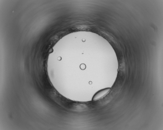 X0000114200572200911061427