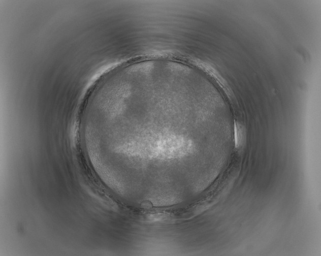 X0000114200579200911061426