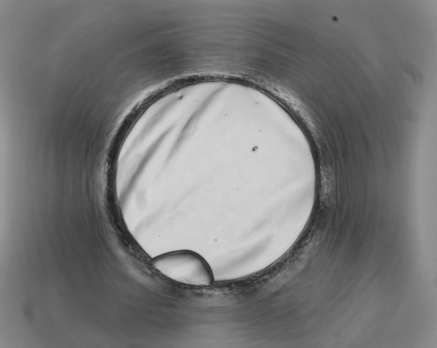 X0000114200580200911061426