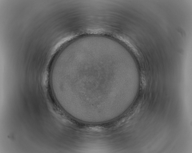 X0000114200583200911061426