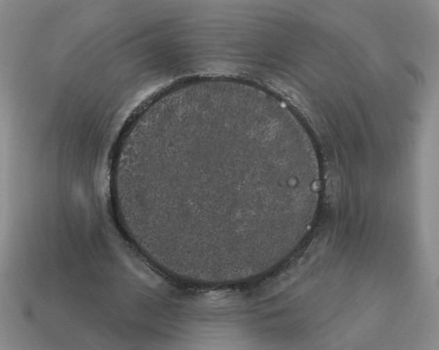 X0000114200584200911061426