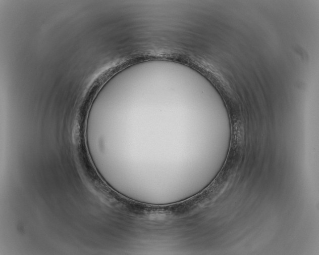 X0000114200587200911061426