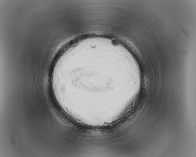 X0000114200588200911061426