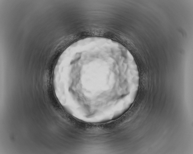 X0000114200594200911061426