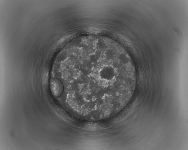 X0000114200596200911061426