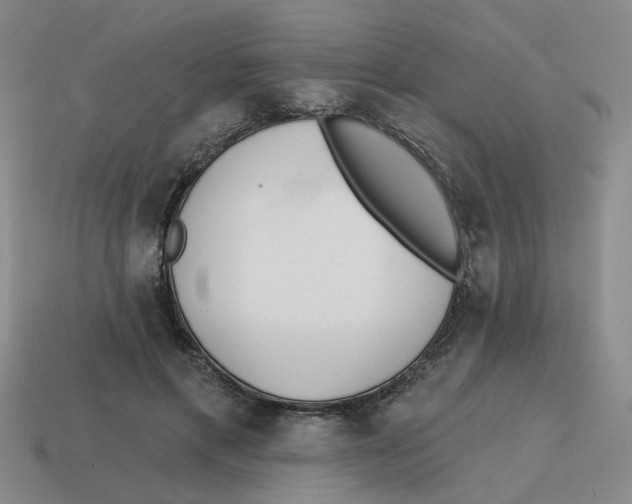 X0000114200597200911061426