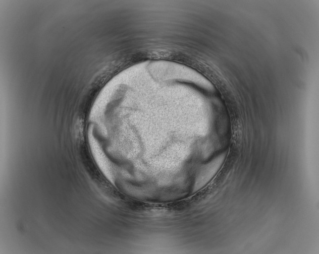 X0000114200598200911061426