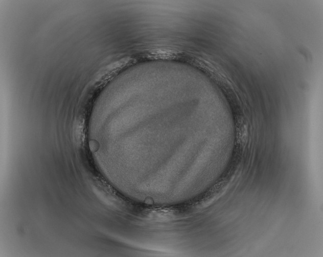 X0000114200599200911061426