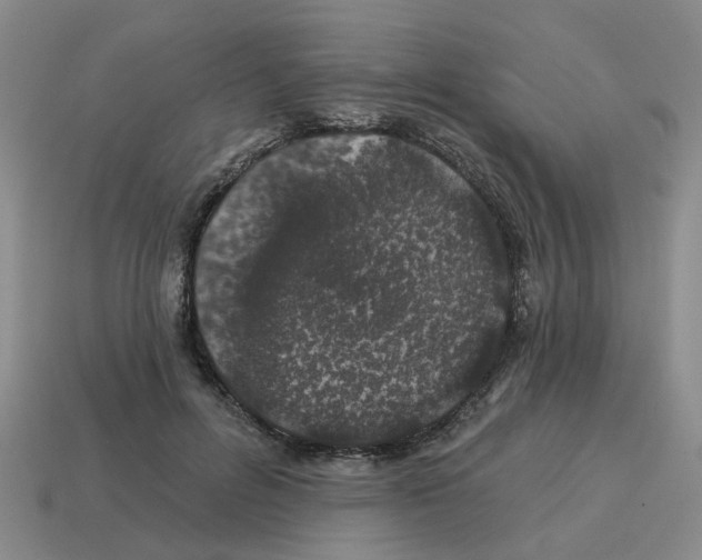 X0000114200600200911061426