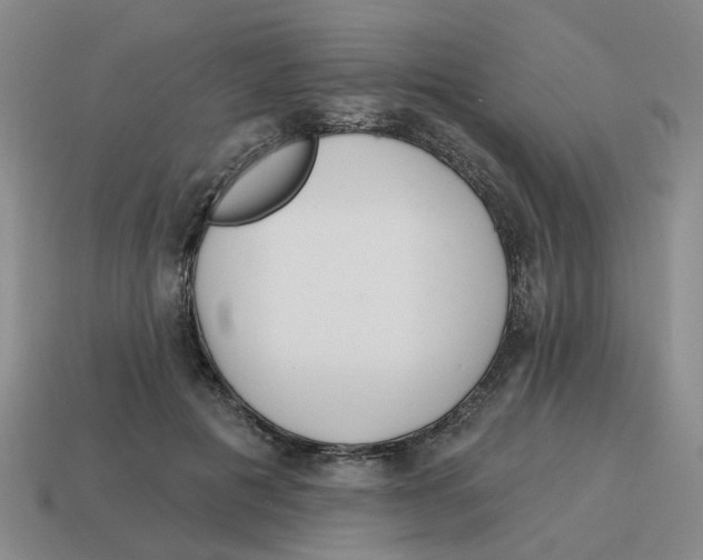 X0000114200601200911061426