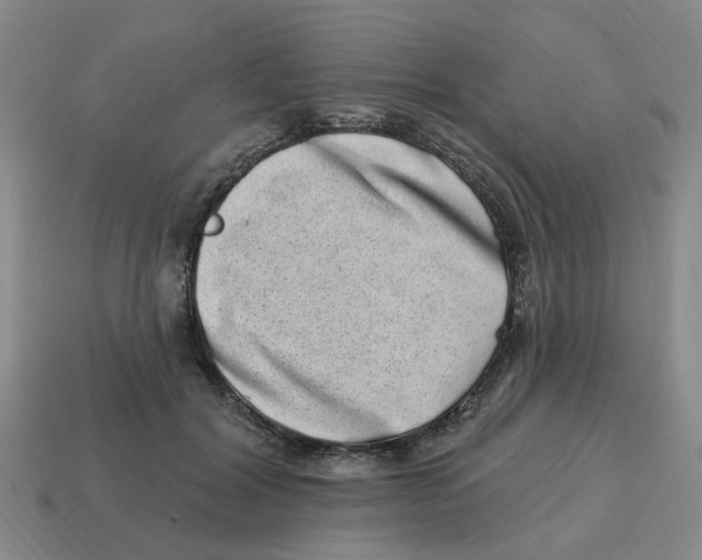 X0000114200604200911061426