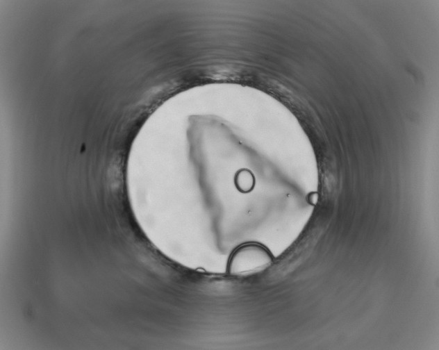 X0000114200620200911061426