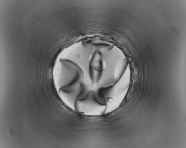 X0000114200621200911061426