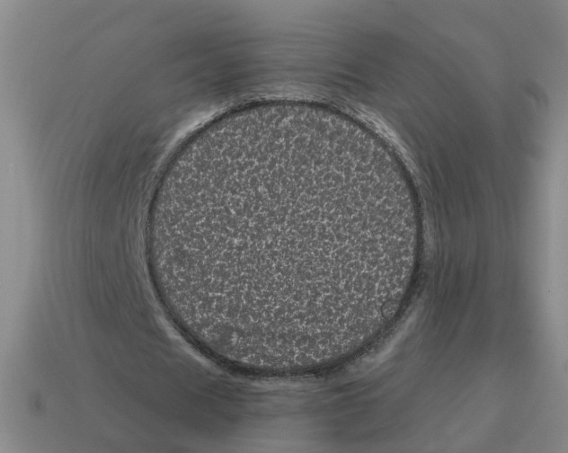 X0000114200625200911061425