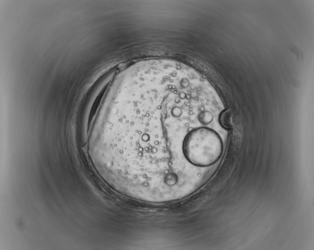 X0000114200626200911061425