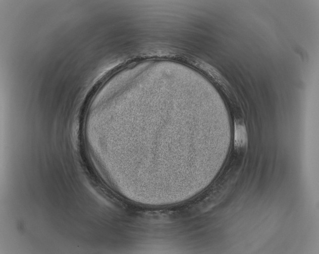 X0000114200627200911061425