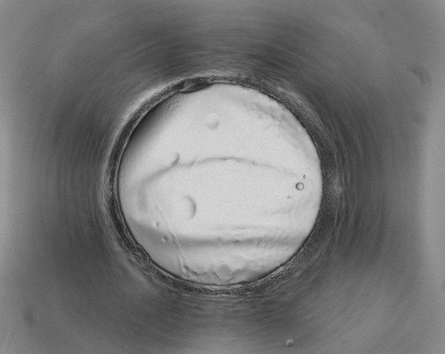 X0000114200628200911061425