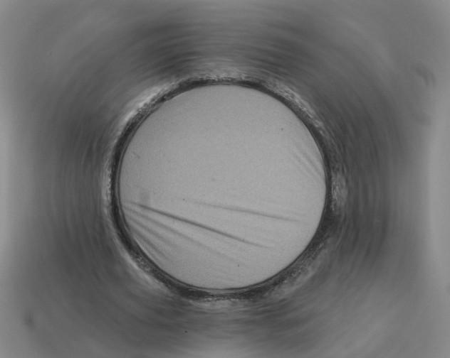 X0000114200629200911061425