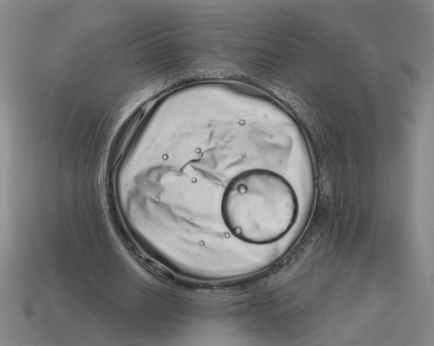 X0000114200630200911061425