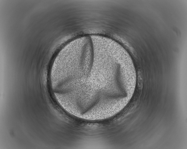 X0000114200631200911061425