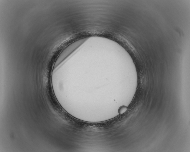 X0000114200635200911061425