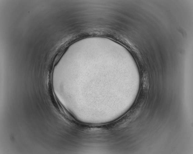 X0000114200637200911061425