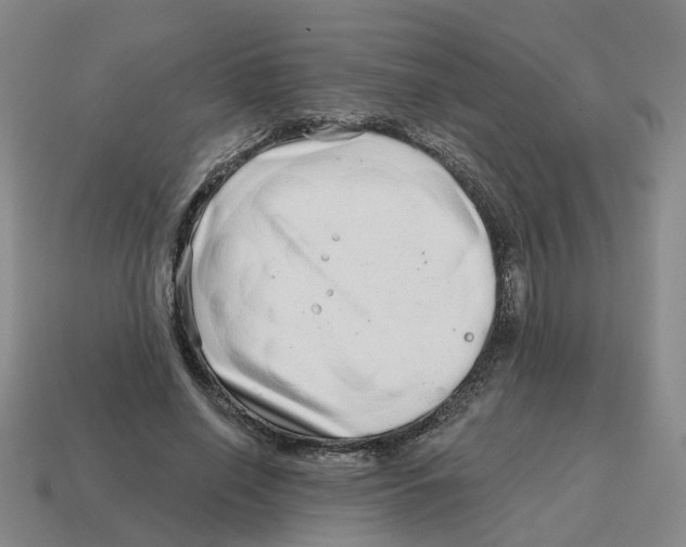 X0000114200638200911061425