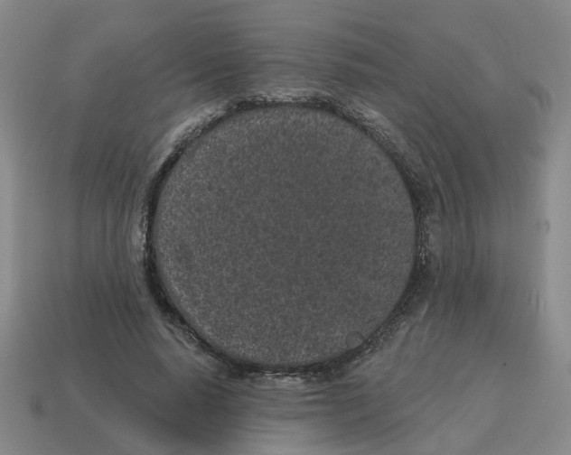 X0000114200640200911061425