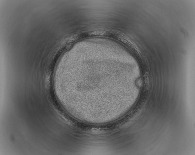 X0000114200641200911061425