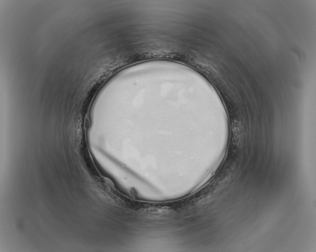 X0000114200642200911061425