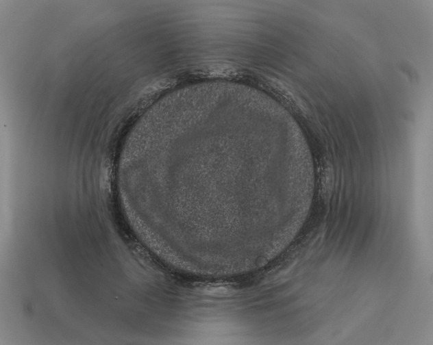 X0000114200643200911061425