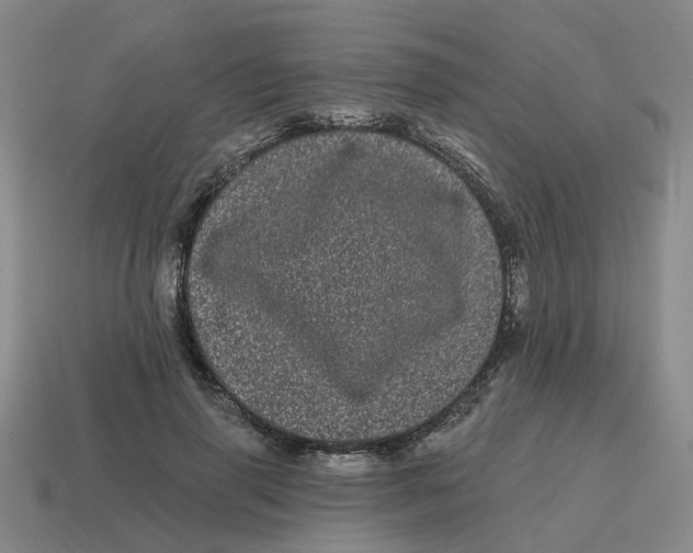 X0000114200645200911061425