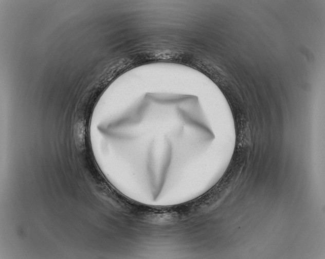 X0000114200646200911061425