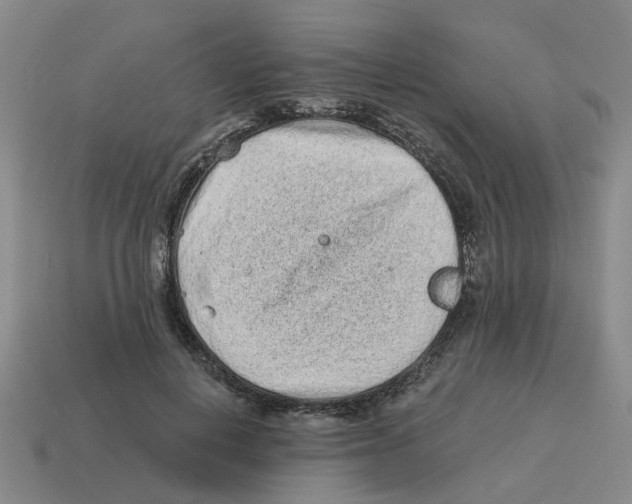 X0000114200648200911061425