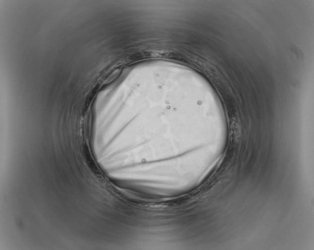 X0000114200650200911061425