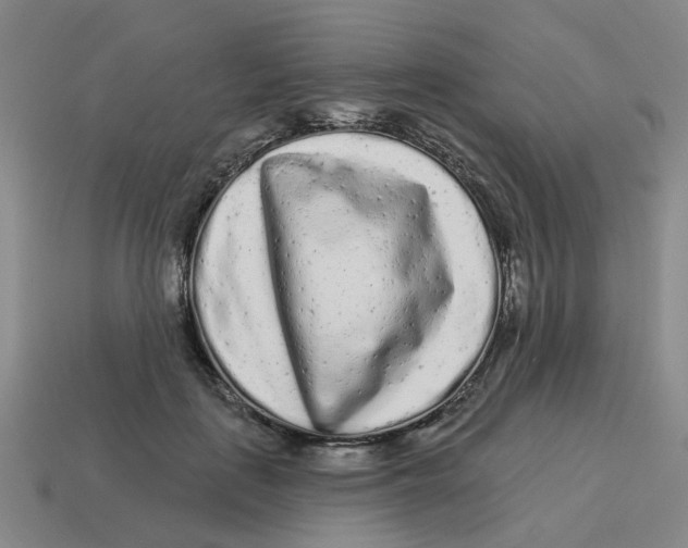 X0000114200651200911061425