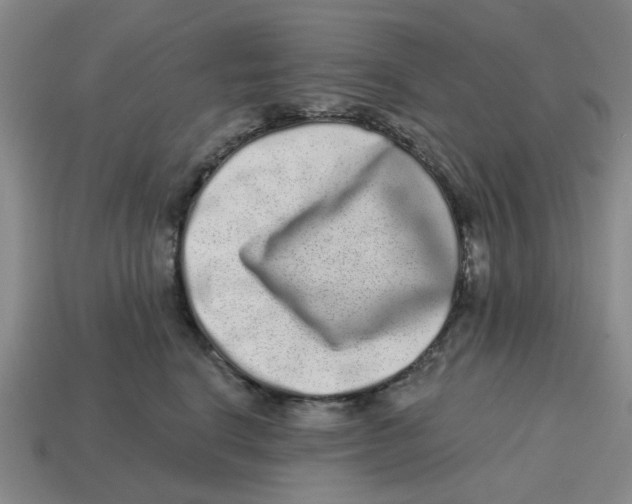 X0000114200664200911061425