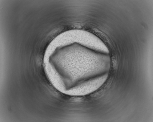 X0000114200665200911061425