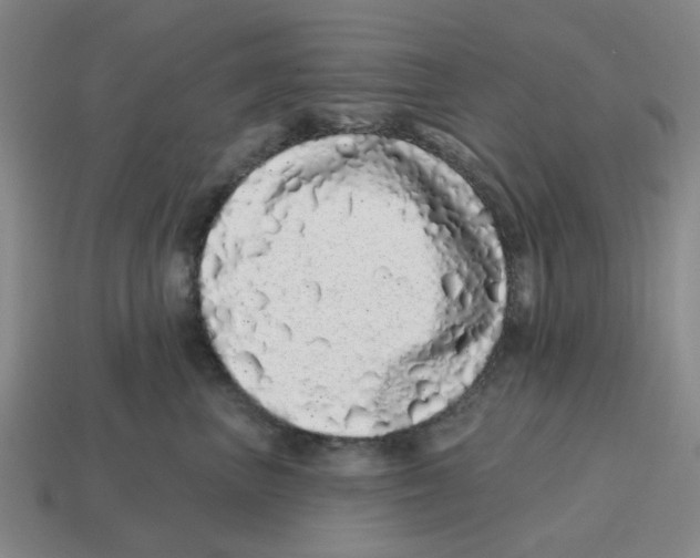 X0000114200667200911061426