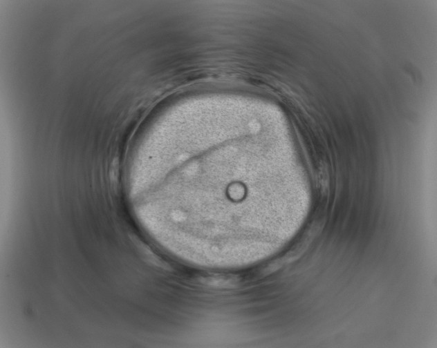 X0000114200670200911061426