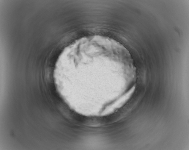 X0000114200671200911061426