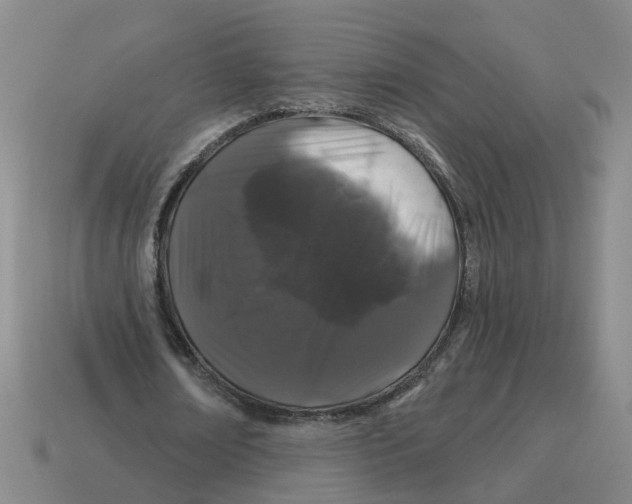 X0000114200674200911061425