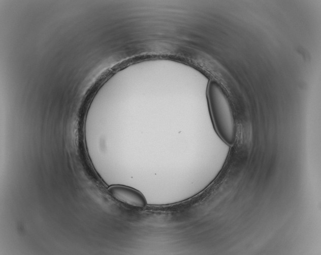 X0000114200676200911061425