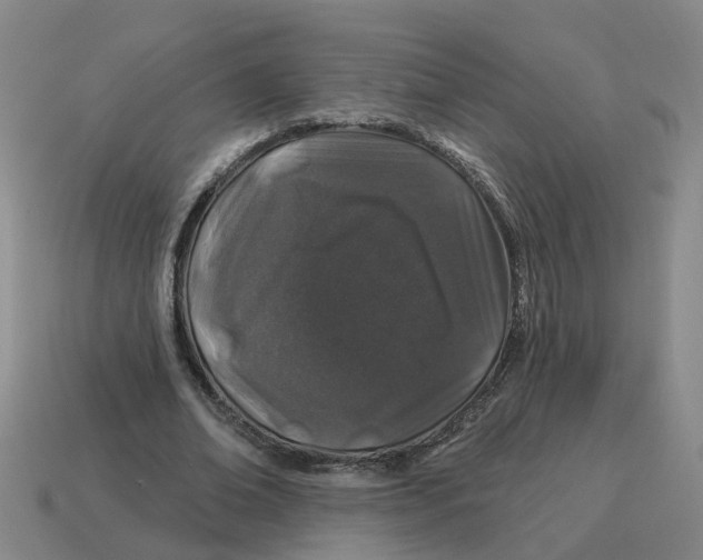 X0000114200678200911061425