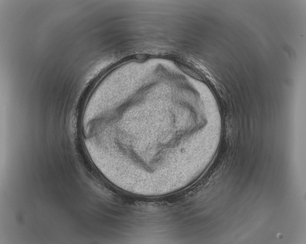 X0000114200679200911061425