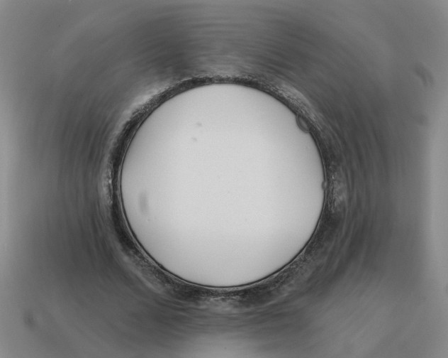 X0000114200680200911061425